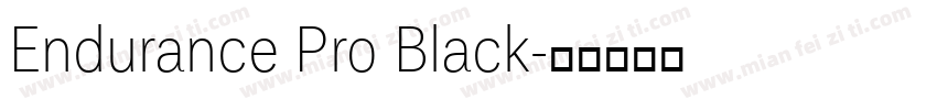 Endurance Pro Black字体转换